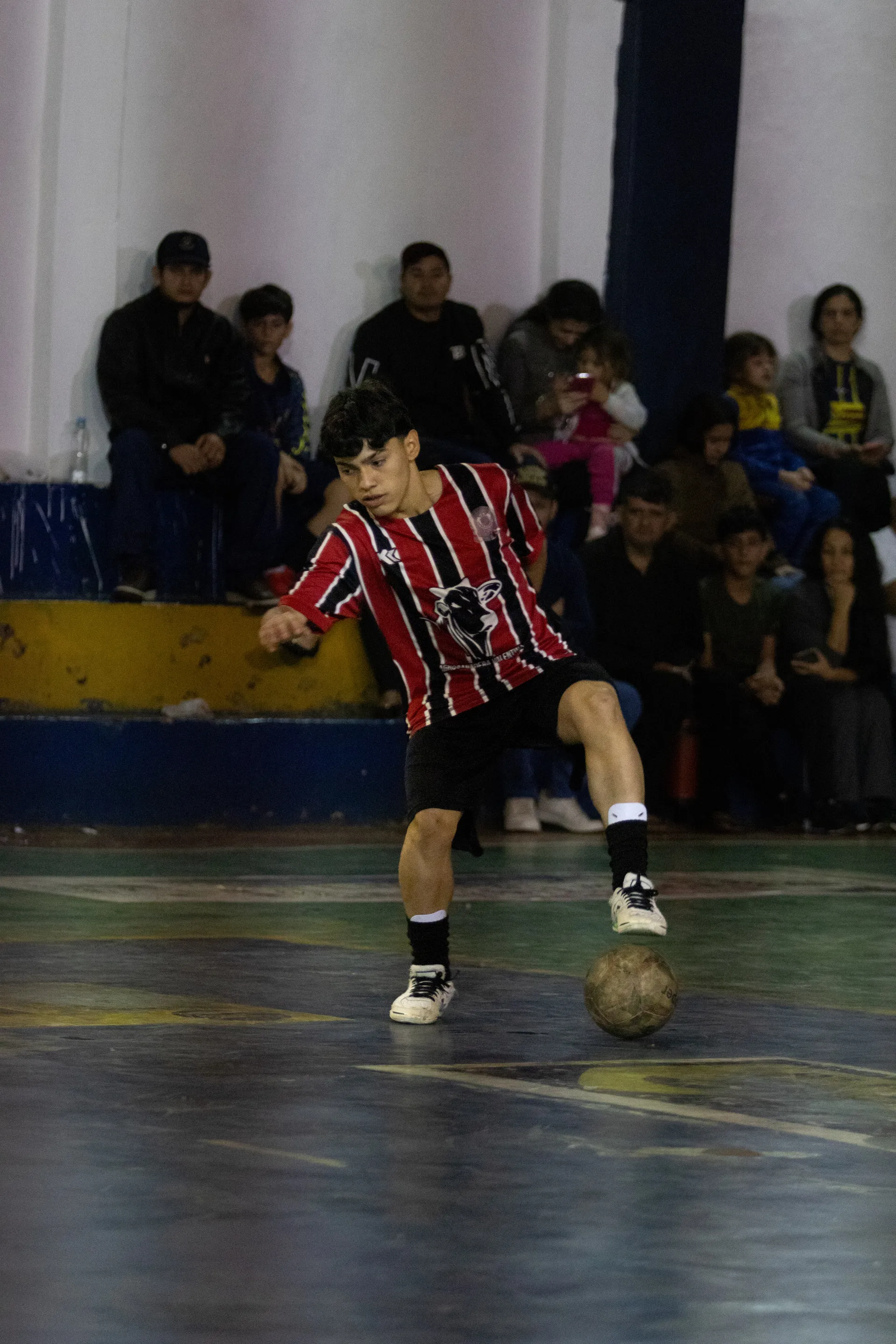 Fénix sub 15