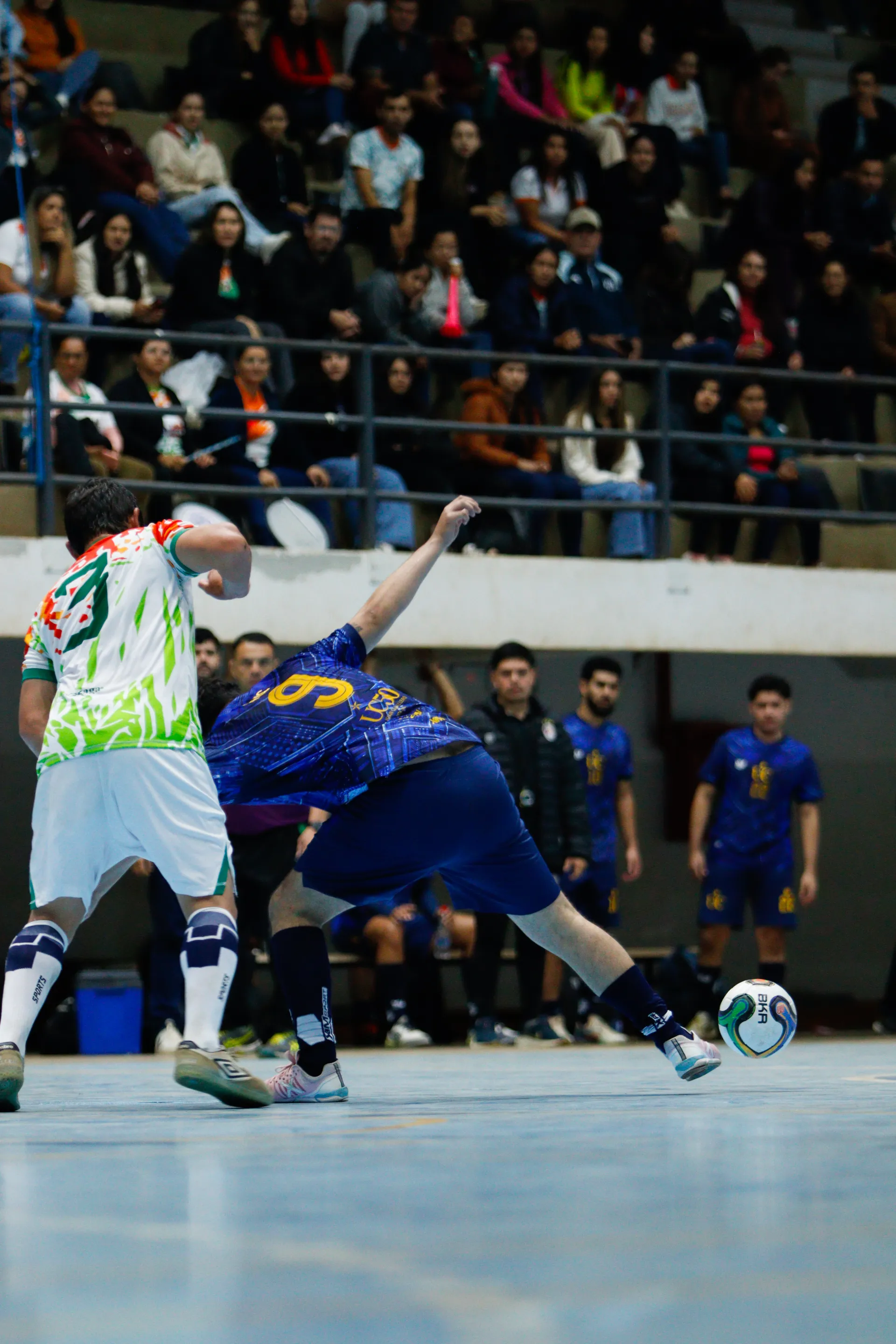 CATOLICA VS UPG MASC