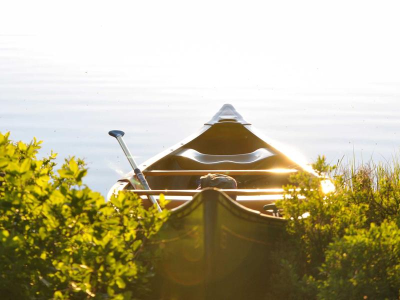 Hero image 1
