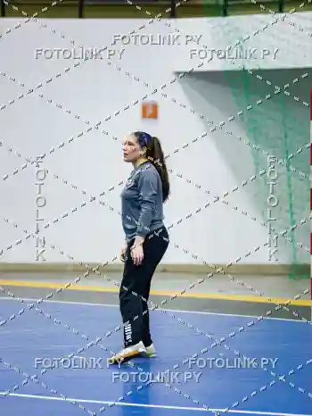 _LME3313