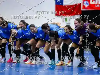 _LME3133