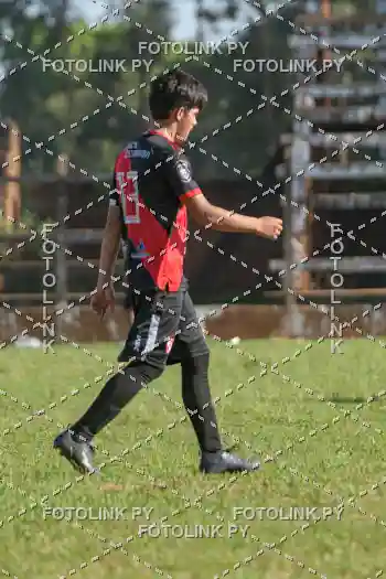 1001646561