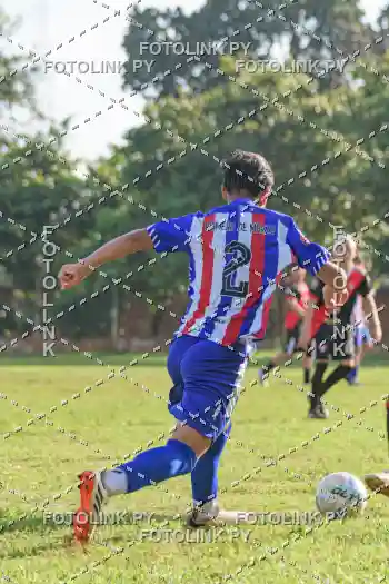 1001647088